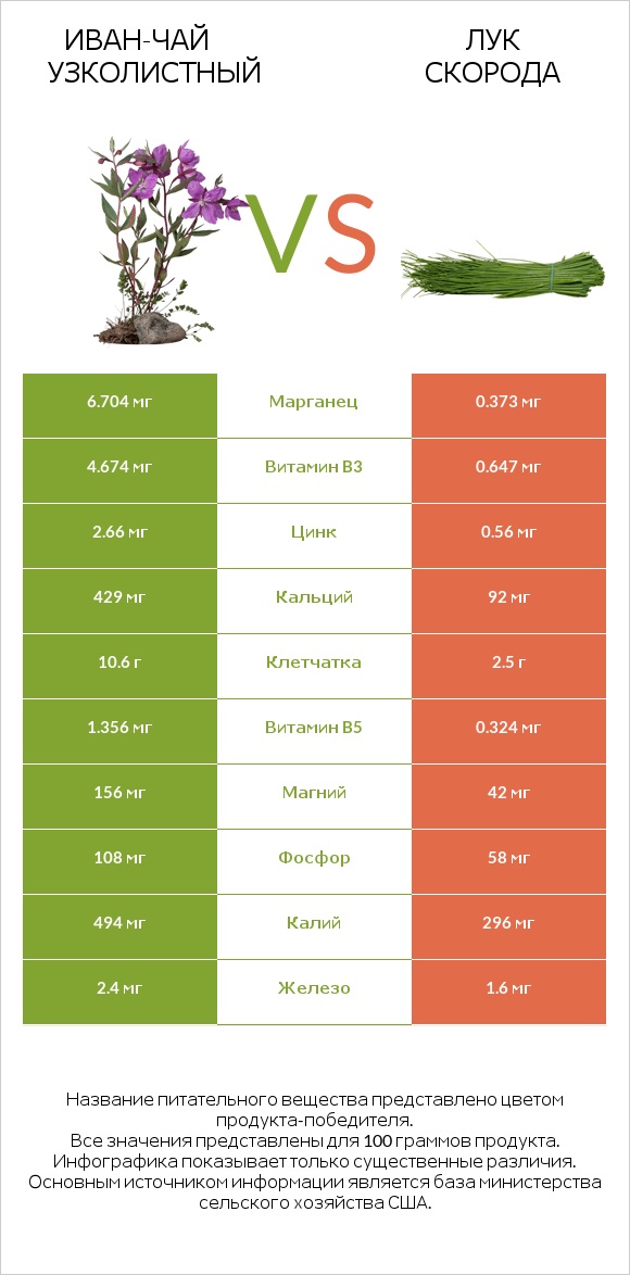 Иван-чай узколистный vs Лук скорода infographic