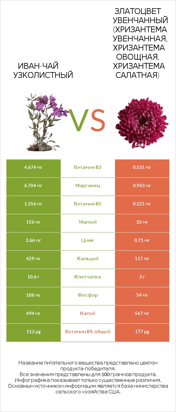 Иван-чай узколистный vs Златоцвет увенчанный (хризантема увенчанная, хризантема овощная, хризантема салатная) infographic