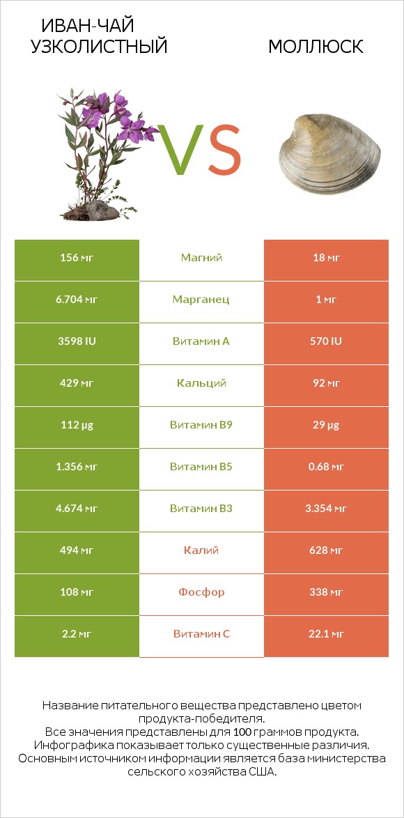 Иван-чай узколистный vs Моллюск infographic