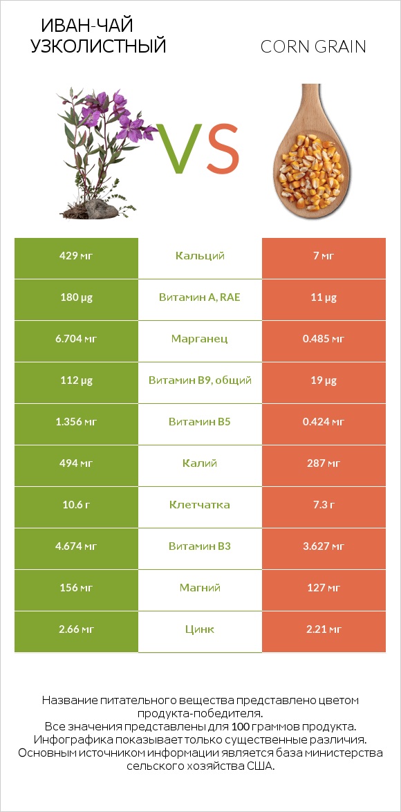 Иван-чай узколистный vs Corn grain infographic