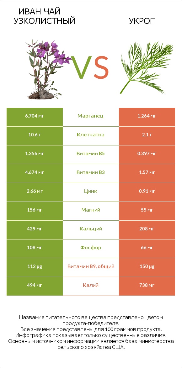 Иван-чай узколистный vs Укроп infographic