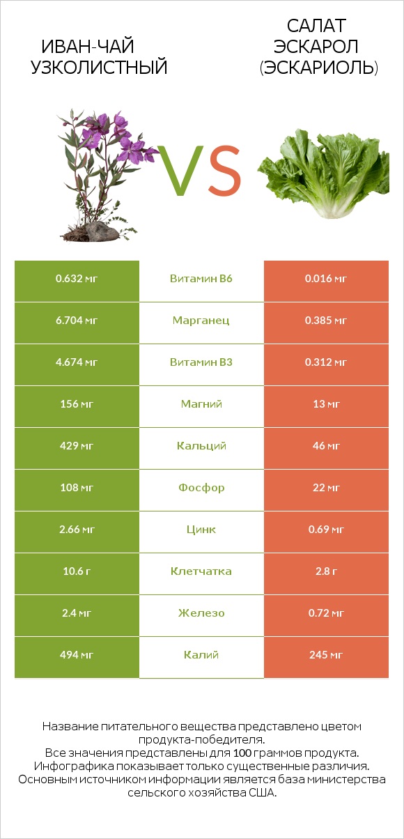 Иван-чай узколистный vs Салат Эскарол (эскариоль) infographic