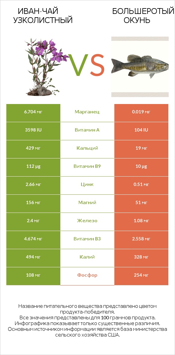 Иван-чай узколистный vs Большеротый окунь infographic