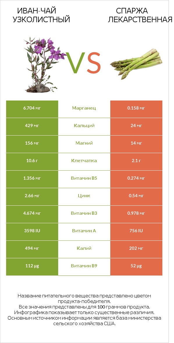 Иван-чай узколистный vs Спаржа лекарственная infographic