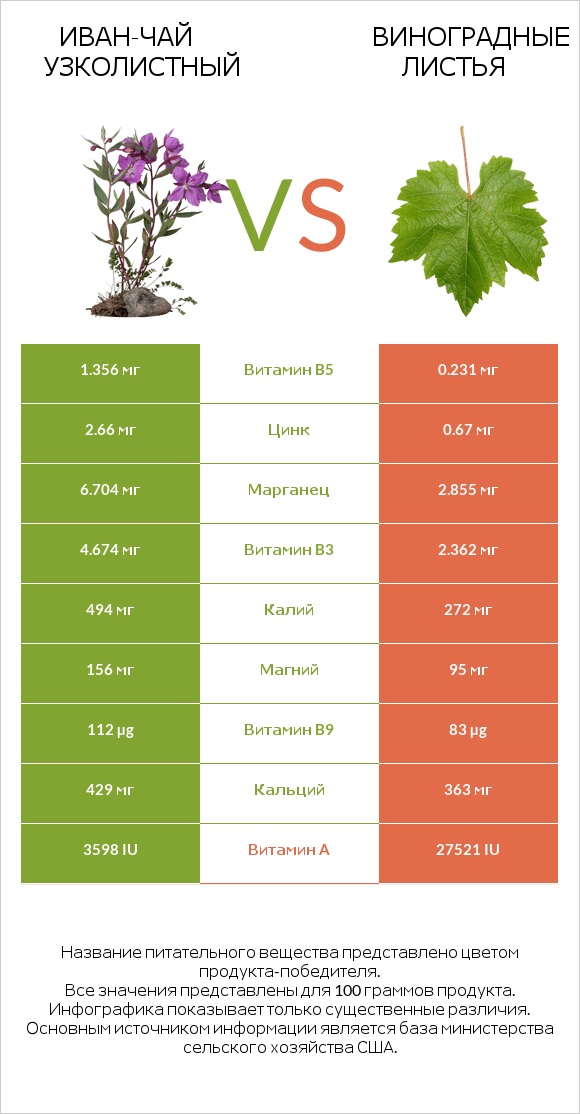 Иван-чай узколистный vs Виноградные листья infographic