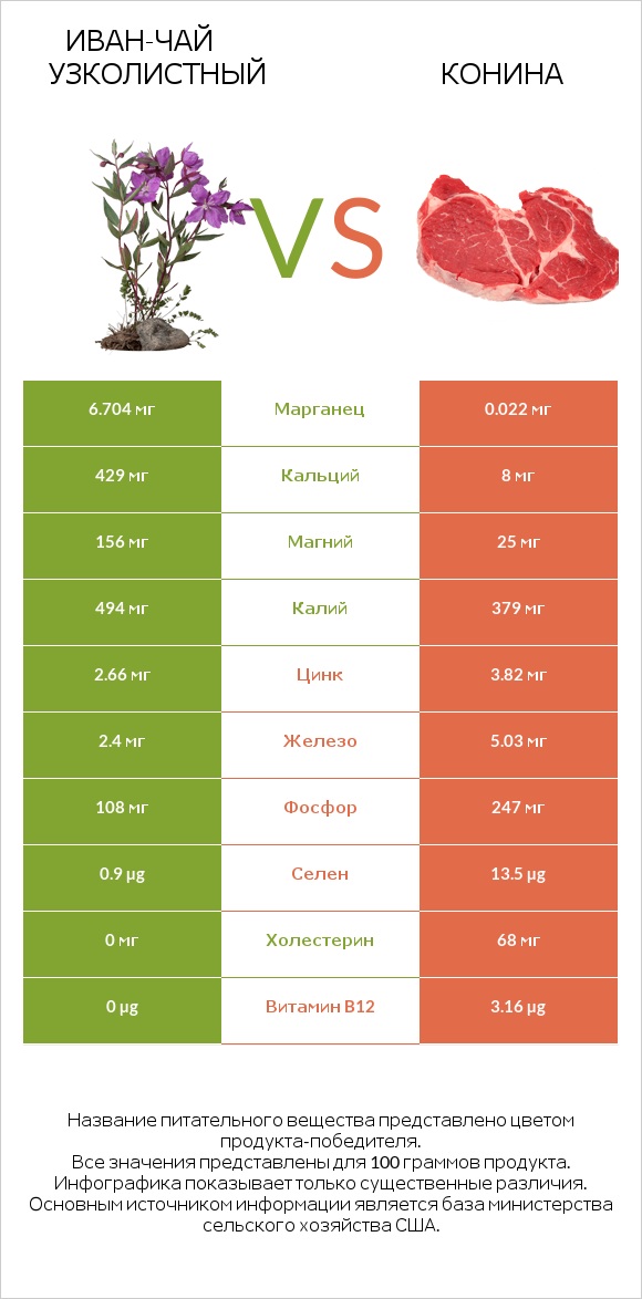 Иван-чай узколистный vs Конина infographic