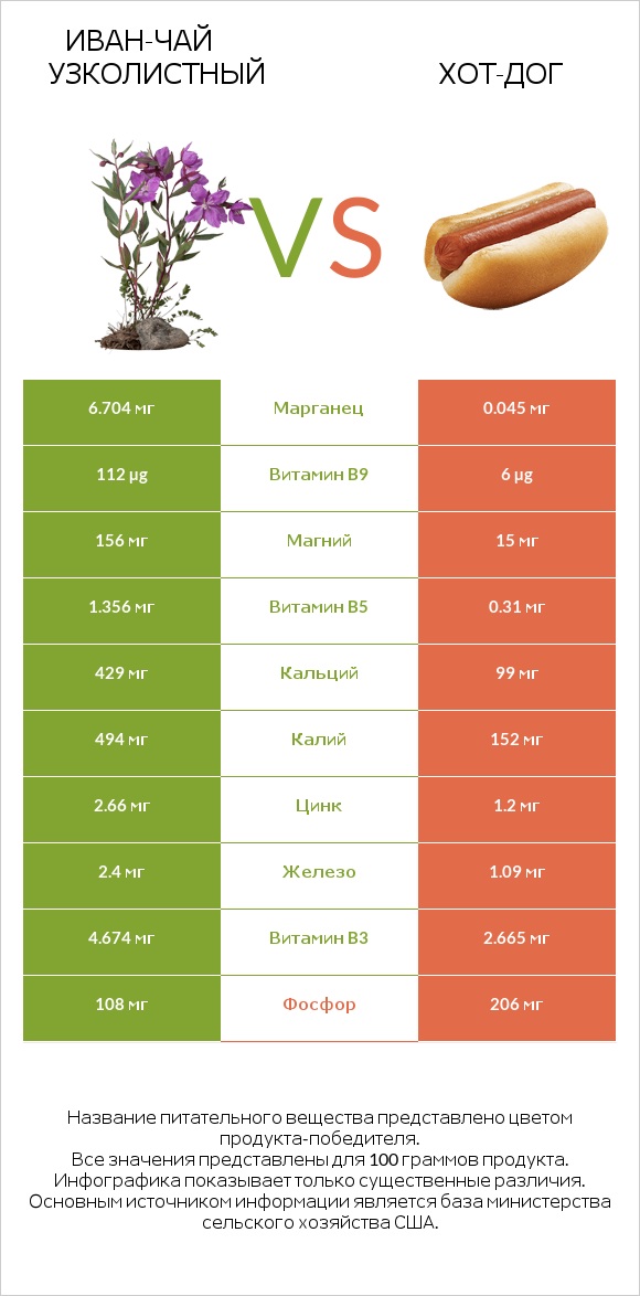 Иван-чай узколистный vs Хот-дог infographic
