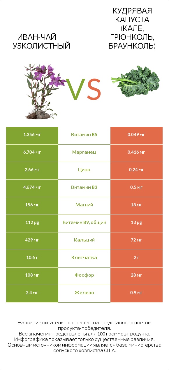 Иван-чай узколистный vs Кудрявая капуста (кале, грюнколь, браунколь) infographic