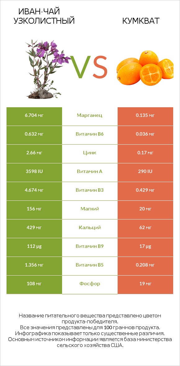 Иван-чай узколистный vs Кумкват infographic