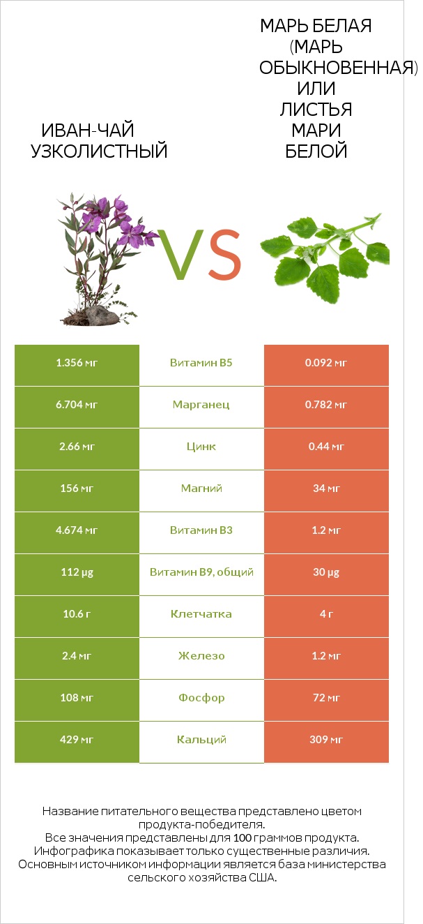 Иван-чай узколистный vs Марь белая (Марь обыкновенная) или Листья мари белой infographic