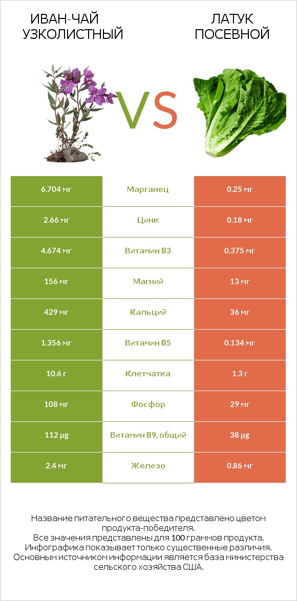 Иван-чай узколистный vs Латук посевной infographic