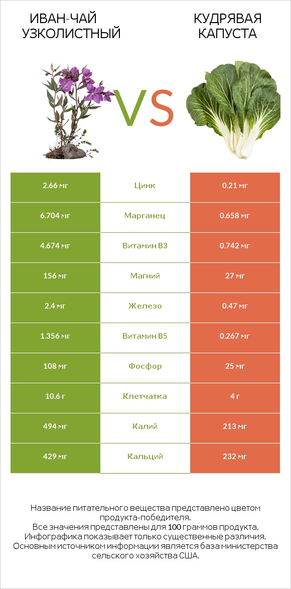 Иван-чай узколистный vs Кудрявая капуста infographic