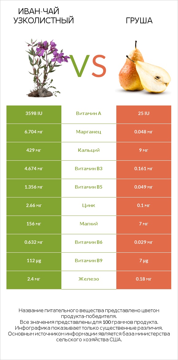 Иван-чай узколистный vs Груша infographic