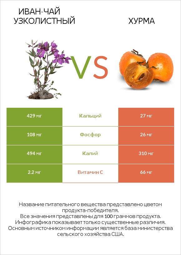 Иван-чай узколистный vs Хурма infographic
