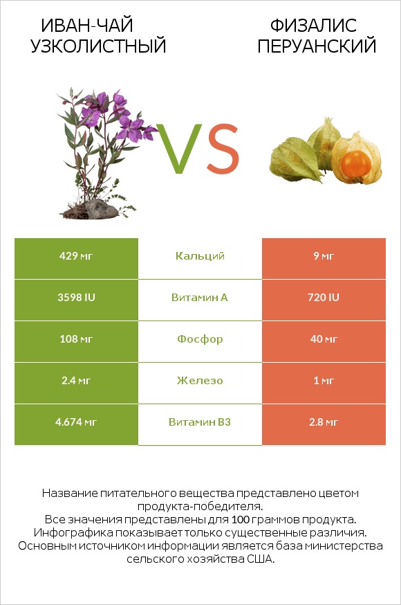 Иван-чай узколистный vs Физалис перуанский infographic