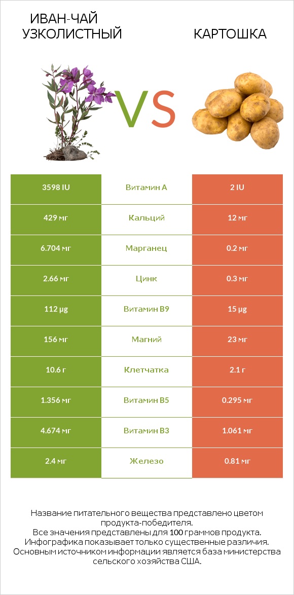 Иван-чай узколистный vs Картошка infographic