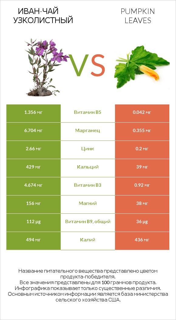 Иван-чай узколистный vs Листья тыквы infographic