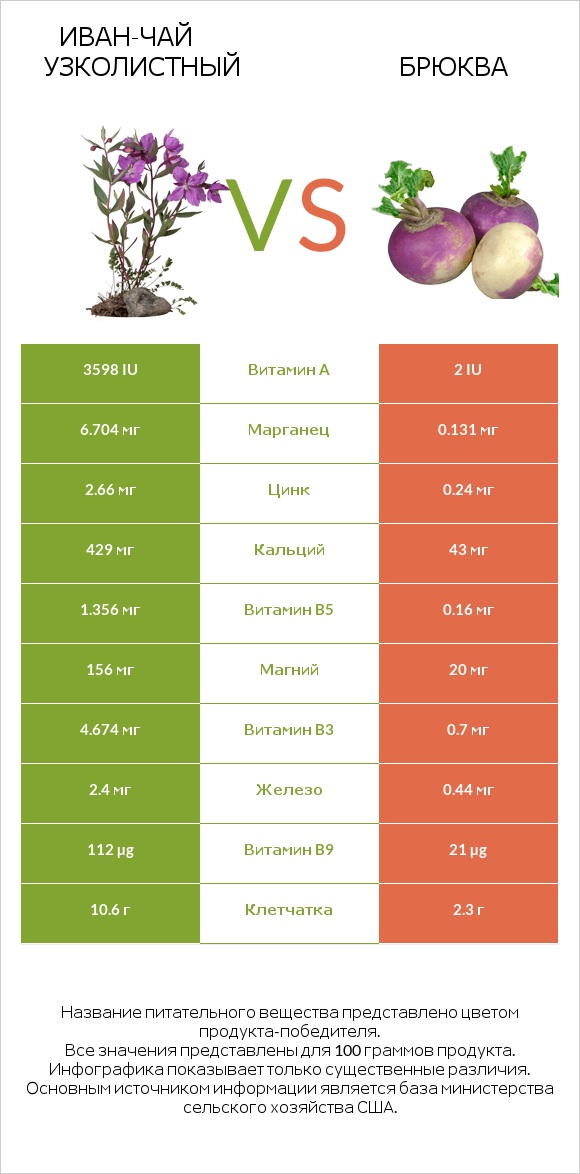 Иван-чай узколистный vs Брюква infographic