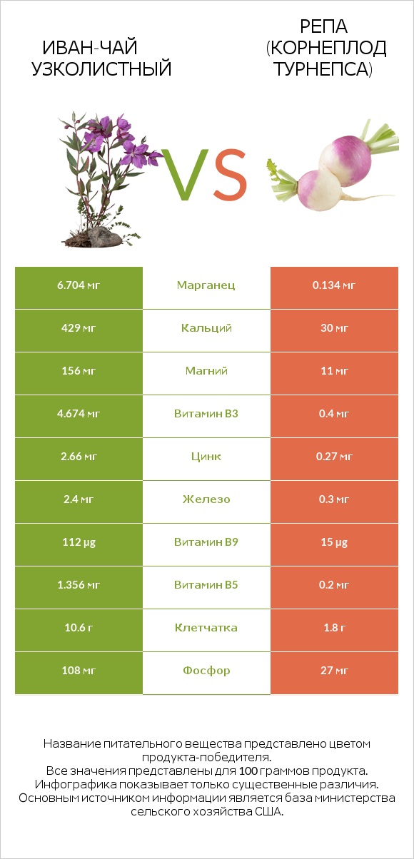 Иван-чай узколистный vs Репа (корнеплод турнепса) infographic