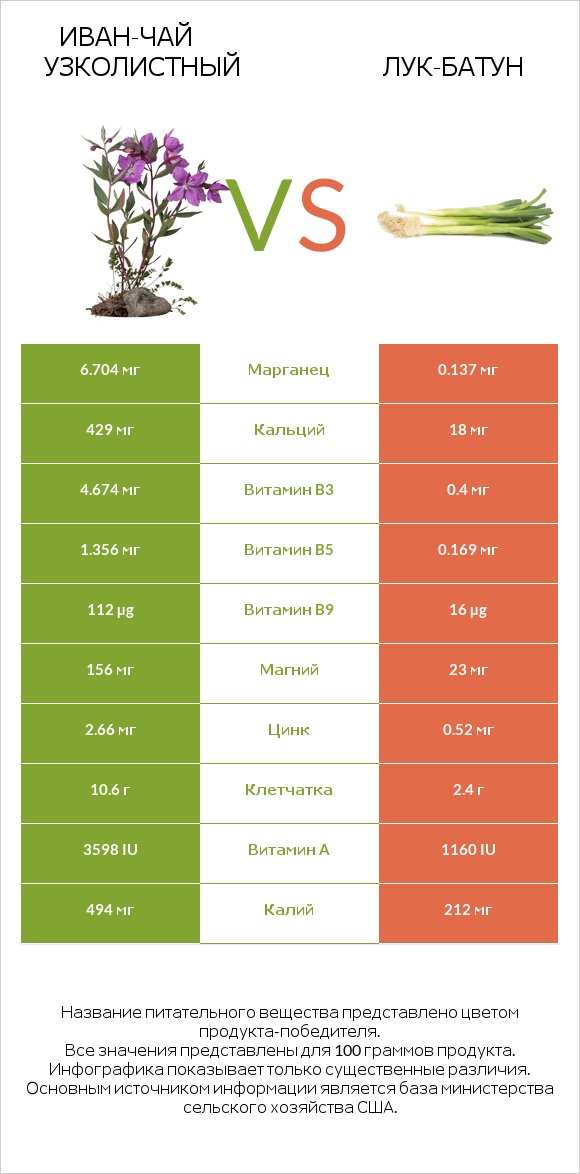 Иван-чай узколистный vs Лук-батун infographic