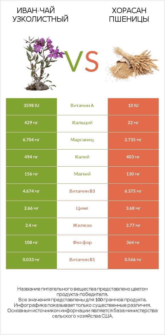 Иван-чай узколистный vs Хорасан пшеницы infographic