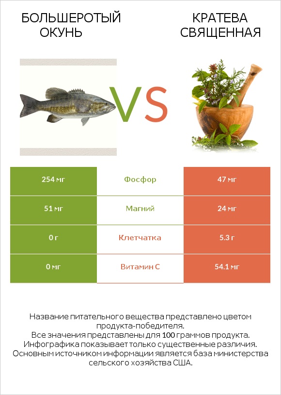 Большеротый окунь vs Кратева священная infographic