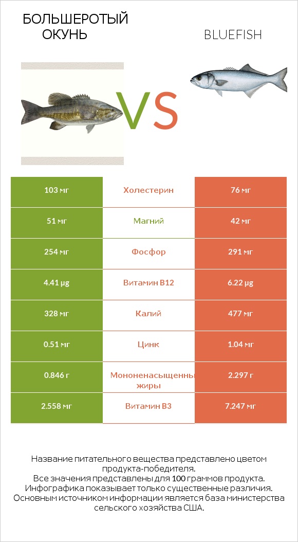 Большеротый окунь vs Bluefish infographic