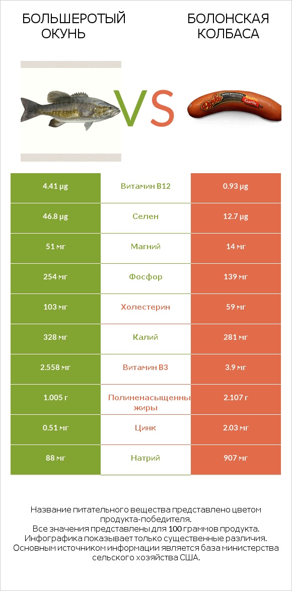 Большеротый окунь vs Болонская колбаса infographic