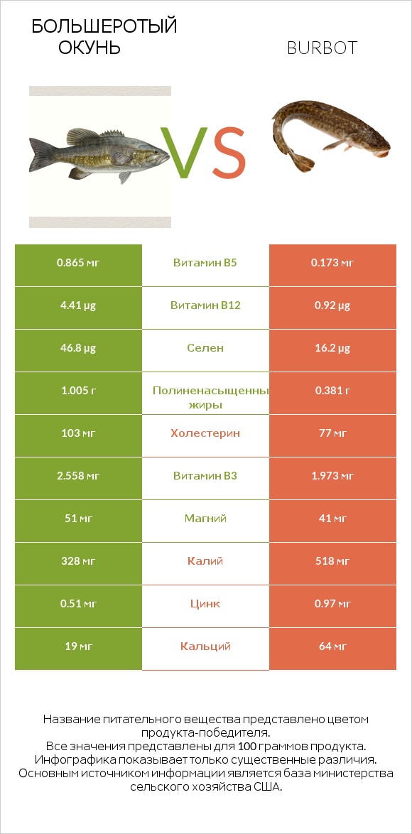 Большеротый окунь vs Burbot infographic