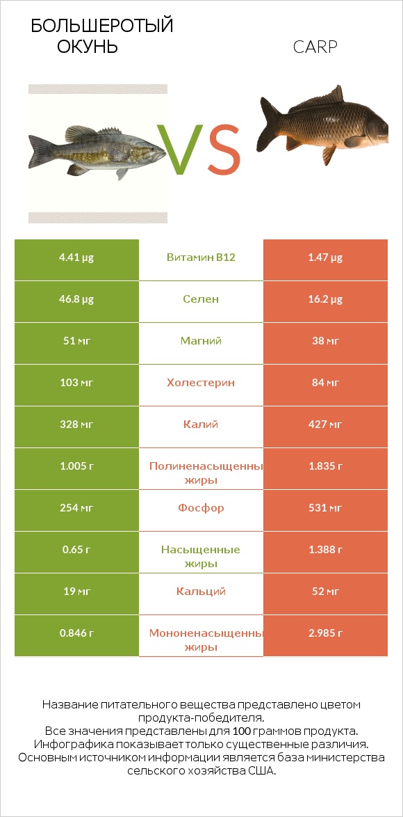 Большеротый окунь vs Carp infographic