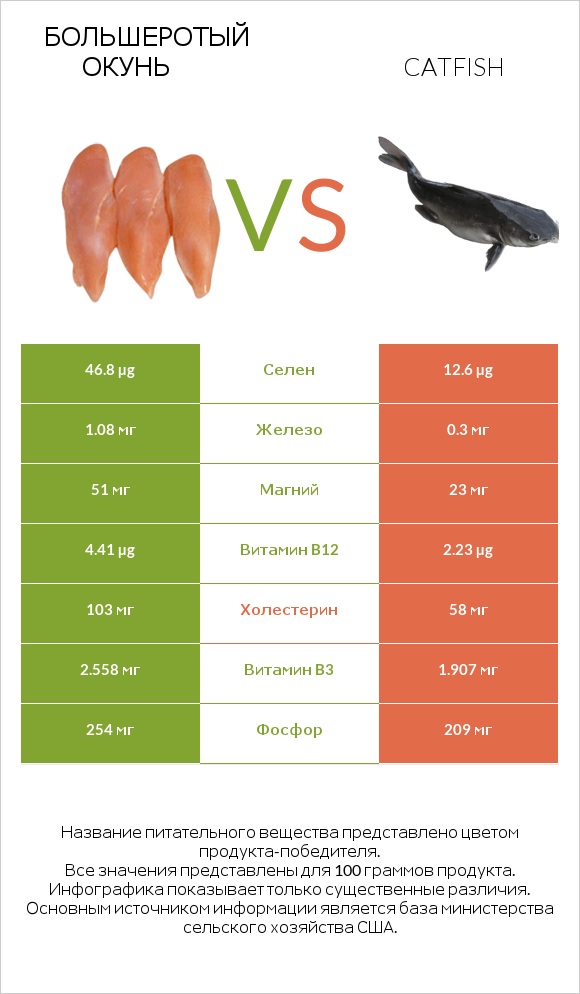 Большеротый окунь vs Catfish infographic