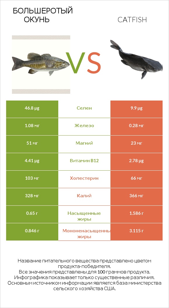 Большеротый окунь vs Catfish infographic