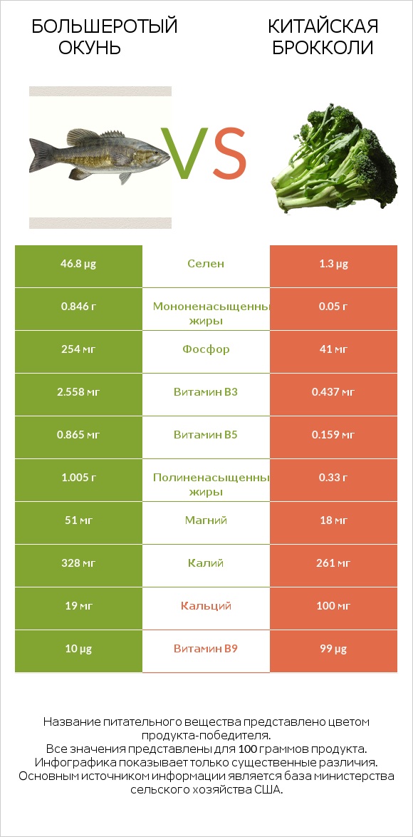 Большеротый окунь vs Китайская брокколи infographic
