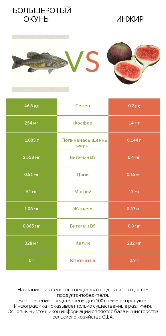 Большеротый окунь vs Инжир infographic