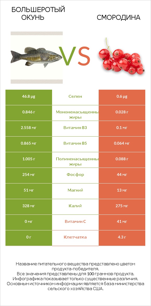 Большеротый окунь vs Смородина infographic