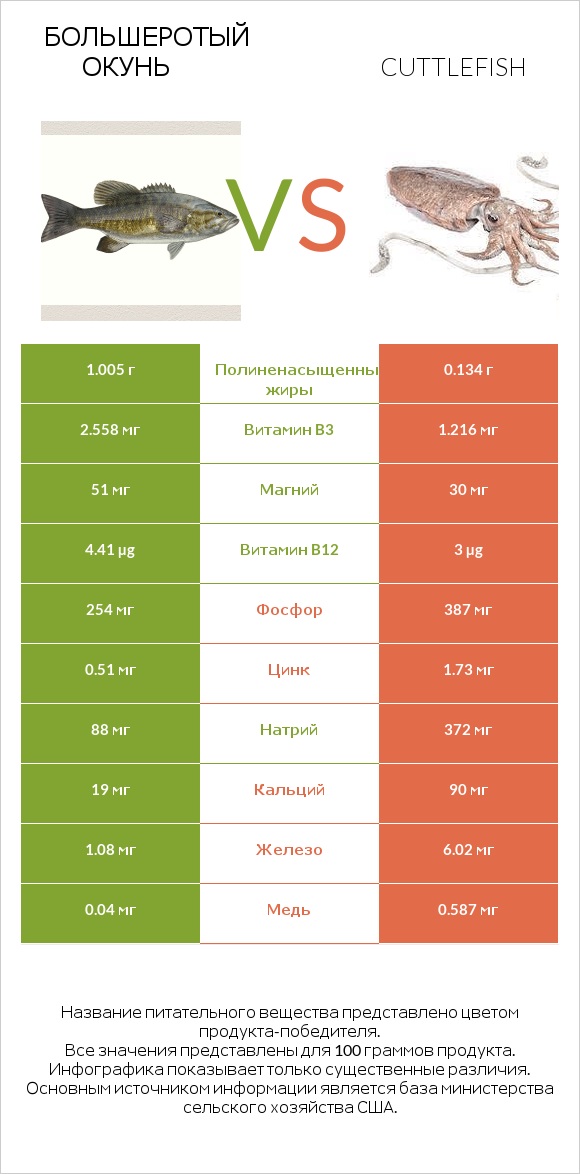 Большеротый окунь vs Cuttlefish infographic