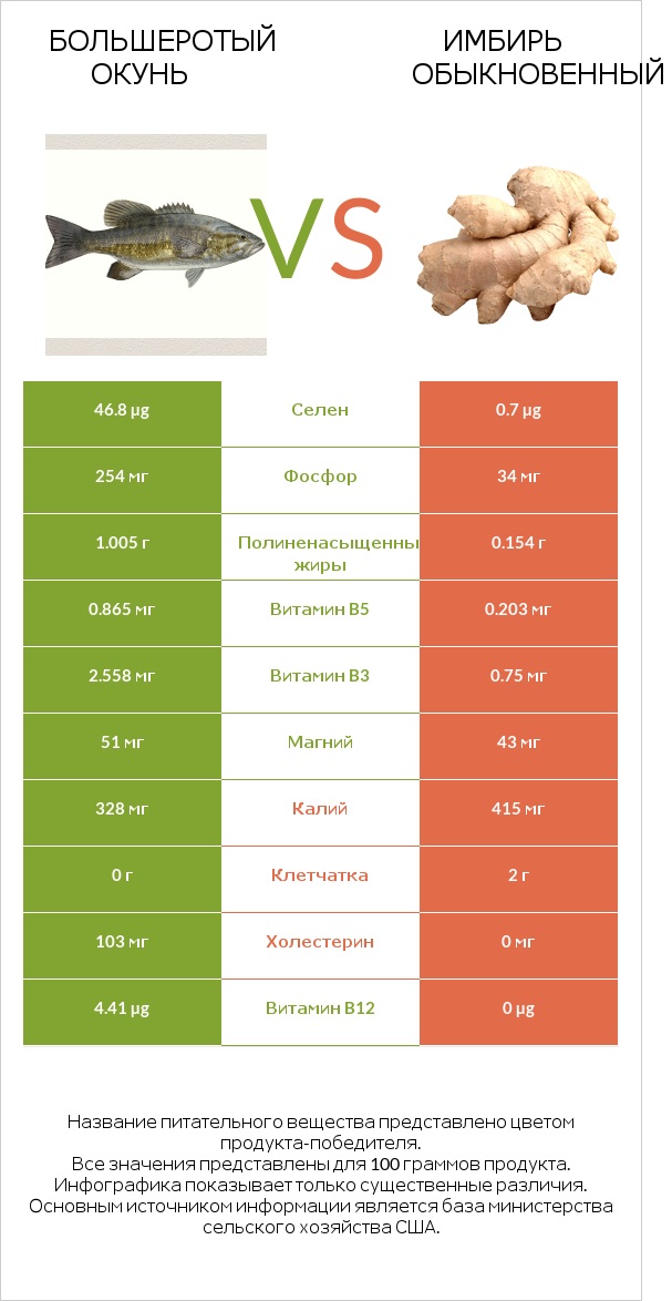 Большеротый окунь vs Имбирь обыкновенный infographic