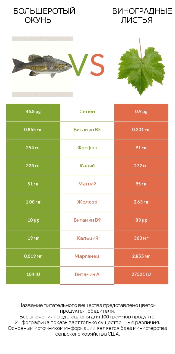 Большеротый окунь vs Виноградные листья infographic