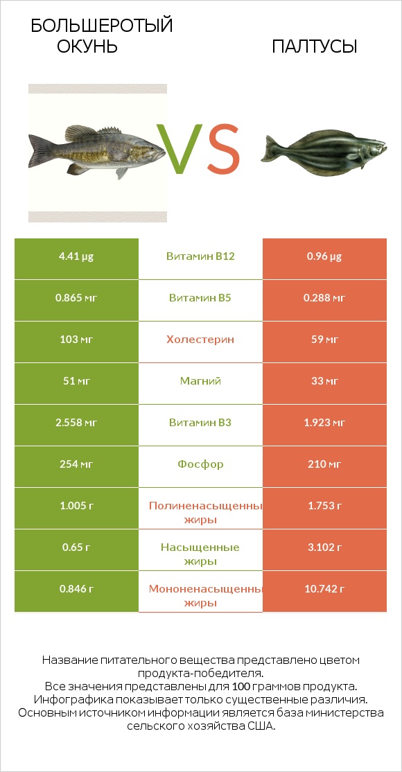 Большеротый окунь vs Палтусы infographic