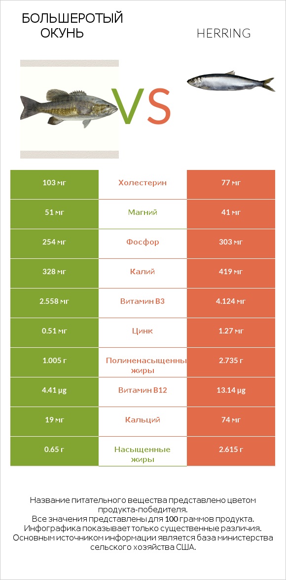 Большеротый окунь vs Herring infographic