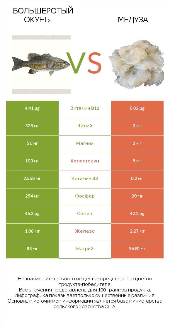 Большеротый окунь vs Медуза infographic