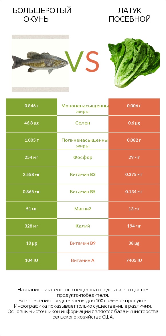 Большеротый окунь vs Латук посевной infographic