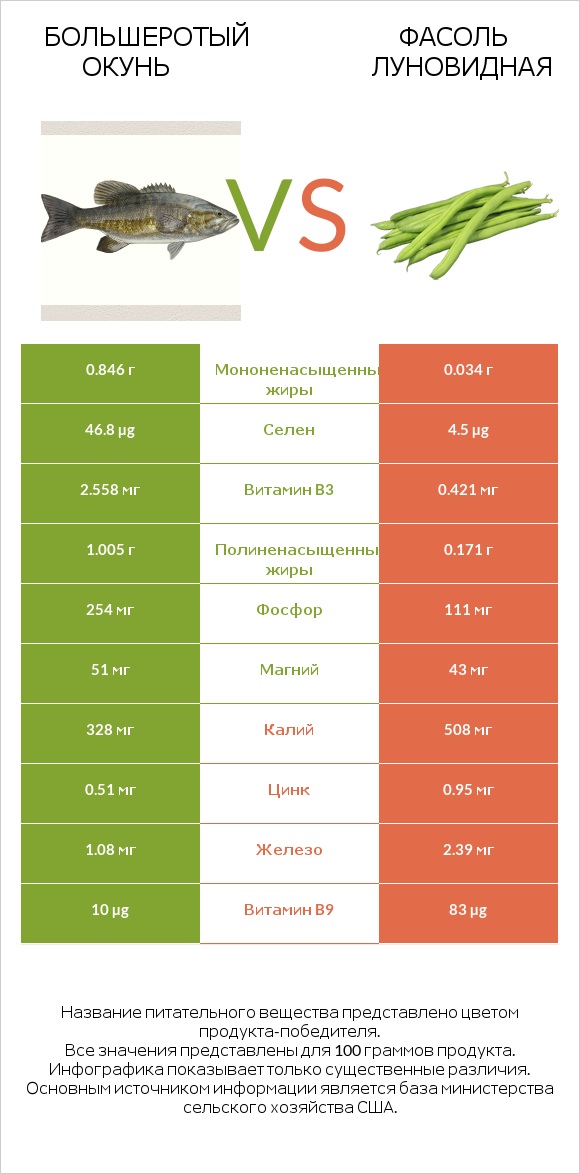 Большеротый окунь vs Фасоль луновидная infographic