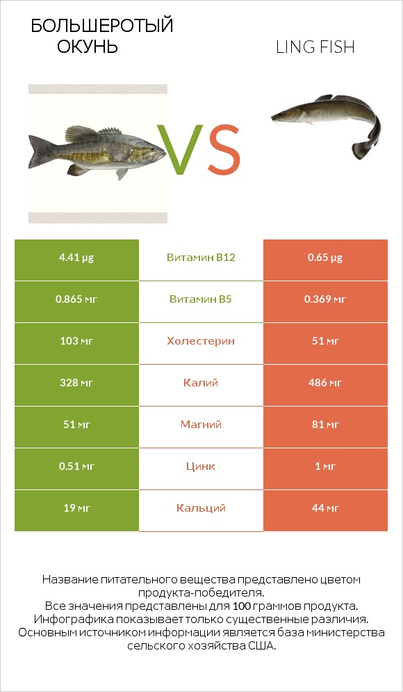 Большеротый окунь vs Ling fish infographic