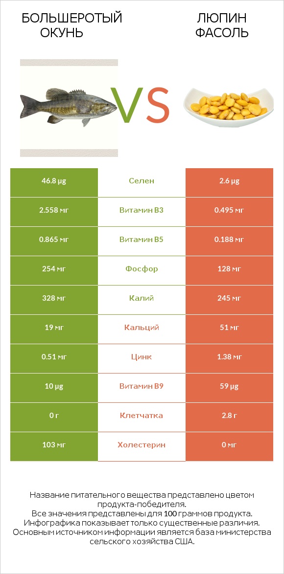 Большеротый окунь vs Люпин Фасоль infographic