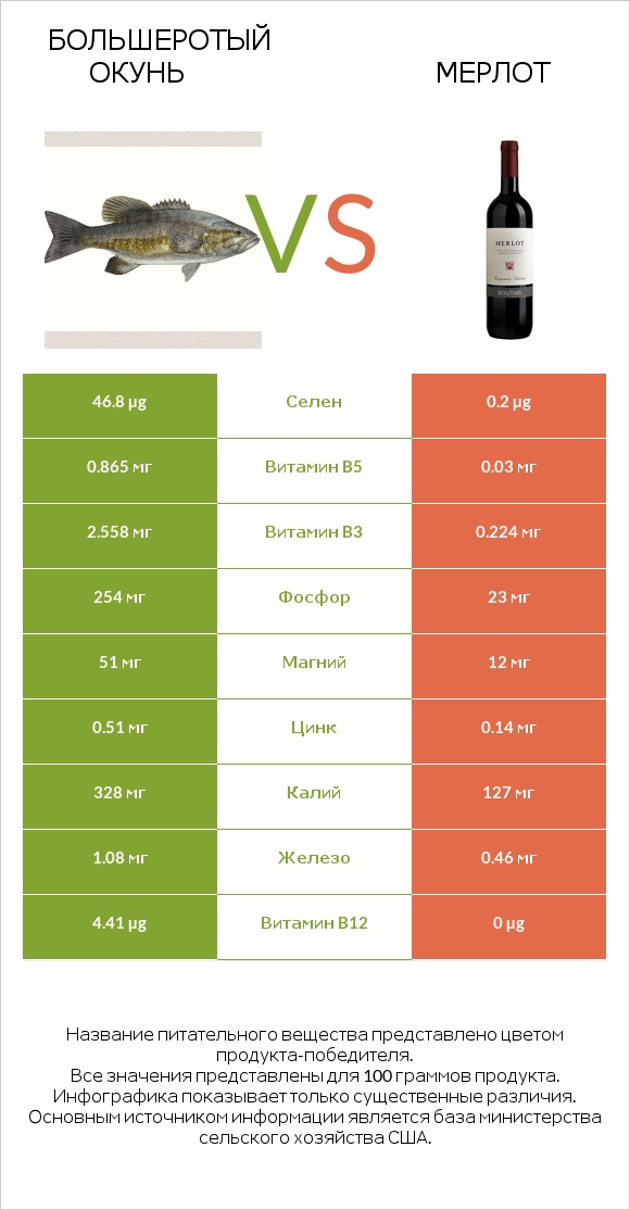 Большеротый окунь vs Мерлот infographic