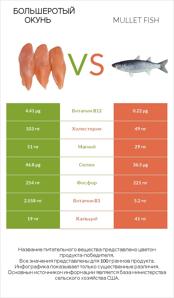Большеротый окунь vs Mullet fish infographic