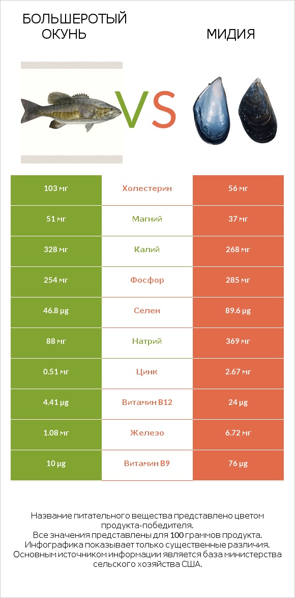 Большеротый окунь vs Мидия infographic