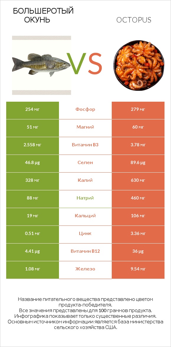 Большеротый окунь vs Octopus infographic