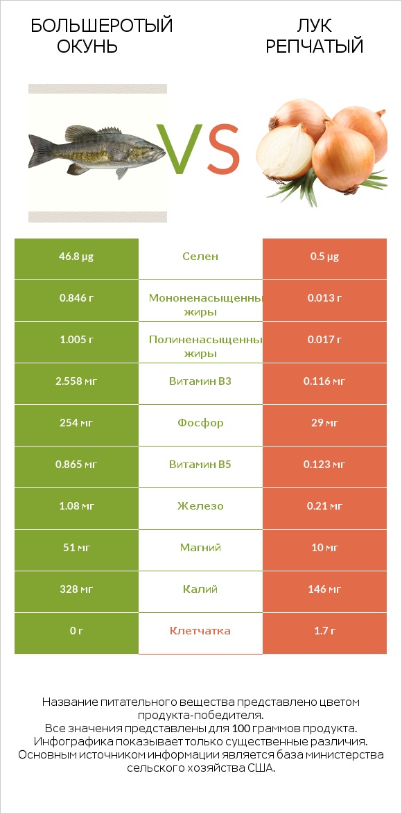 Большеротый окунь vs Лук репчатый infographic